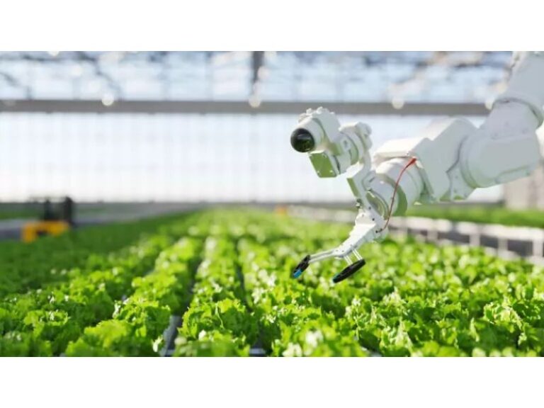 Agricultural Robots Are Transforming Farming Worldwide